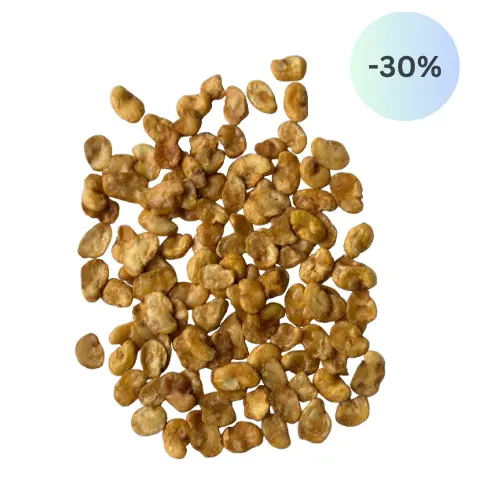 Fava beans salted 500g-bag